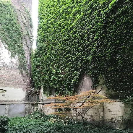 Heart Garden Comfy *