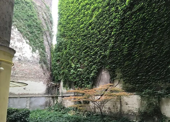 Heart Garden Comfy *